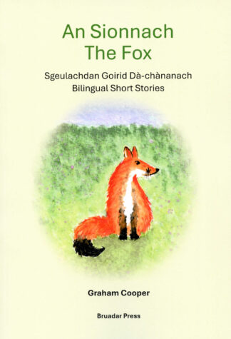 An Sionnach - The Fox